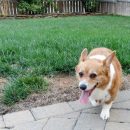 IMG_3060