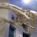 IMG_3581