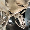 IMG_3595