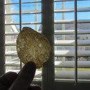IMG_0119